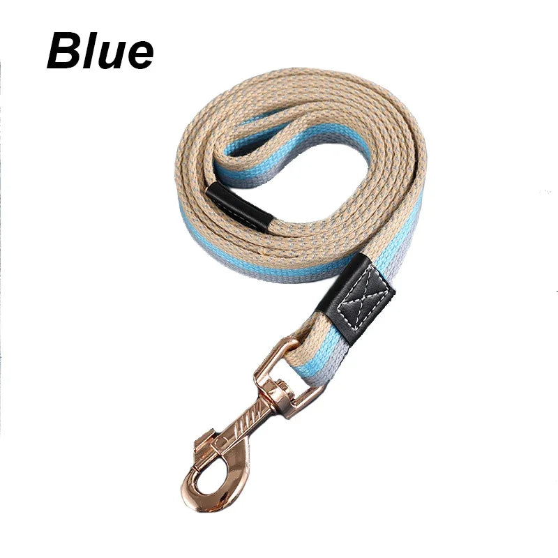 Laisse Signature — Corde Tressée Multicolore