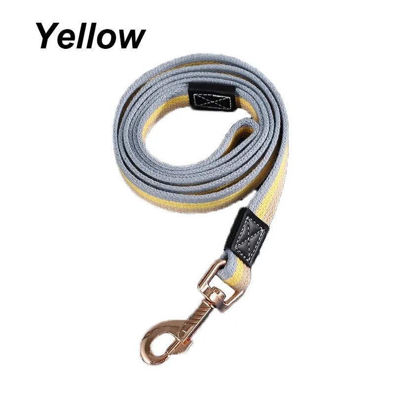 Laisse Signature — Corde Tressée Multicolore