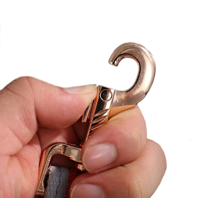 Laisse Signature — Corde Tressée Multicolore