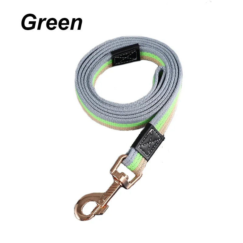 Laisse Signature — Corde Tressée Multicolore